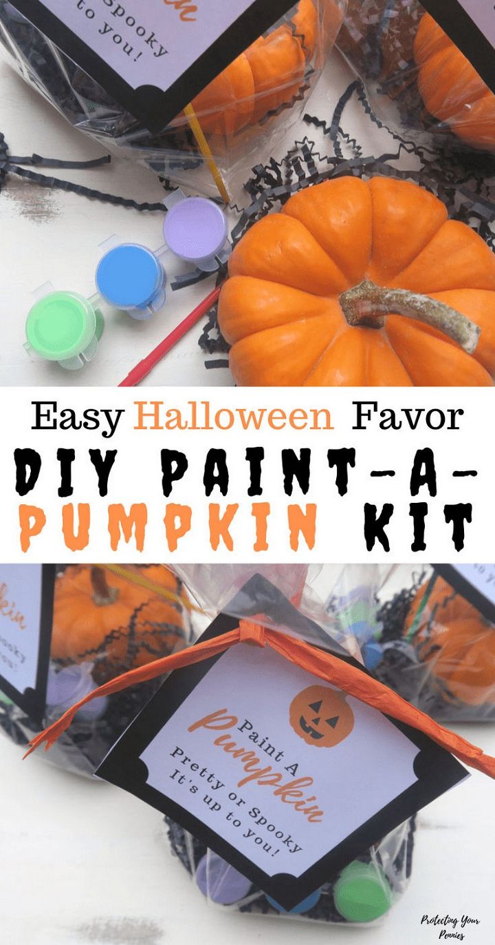 DIY Paint A Pumpkin Kit
