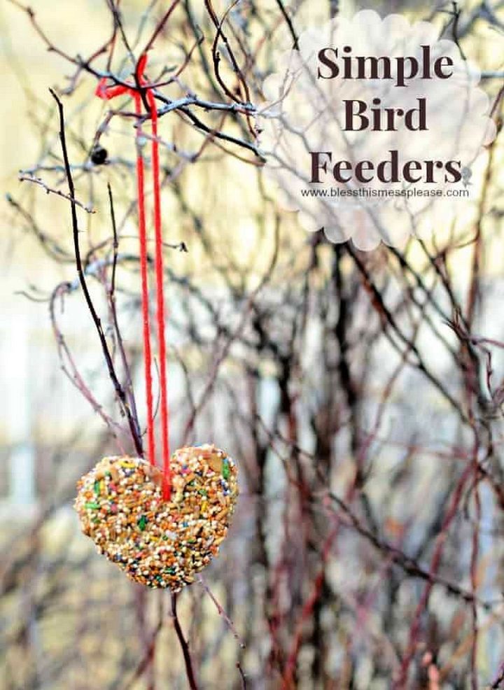 Best DIY Bird Feeder
