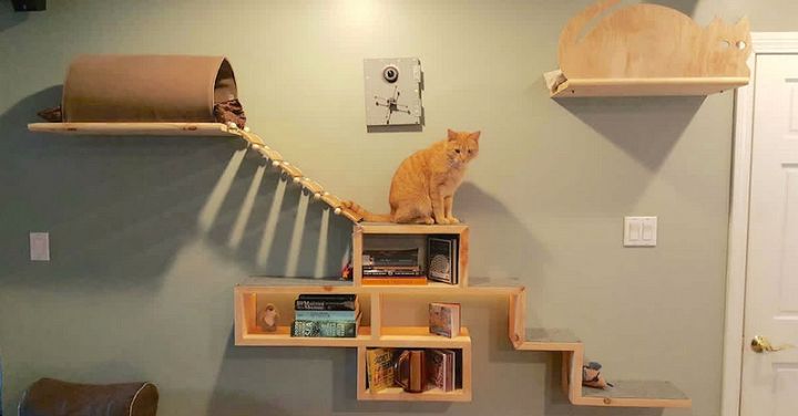 Creative Cat Adventure Wall