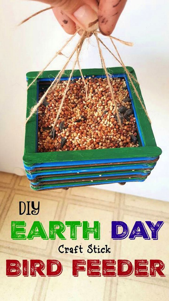 DIY Bird Feeder – Earth Day Craft Sticks Craft for Kids