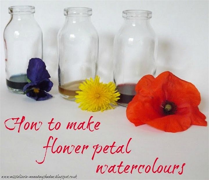 DIY Flower Petal Paints