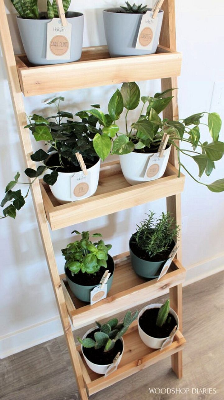 Easy Indoor Garden DIY Plant Ladder Shelf