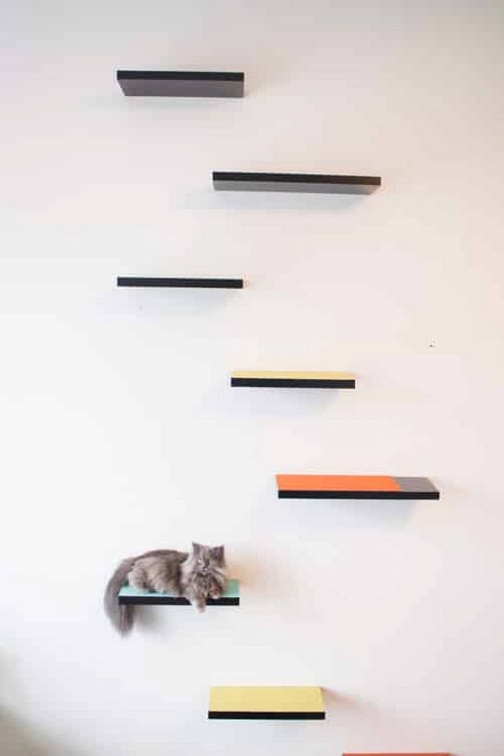 How To Build Cat Shelves That Your Cat Will Love
