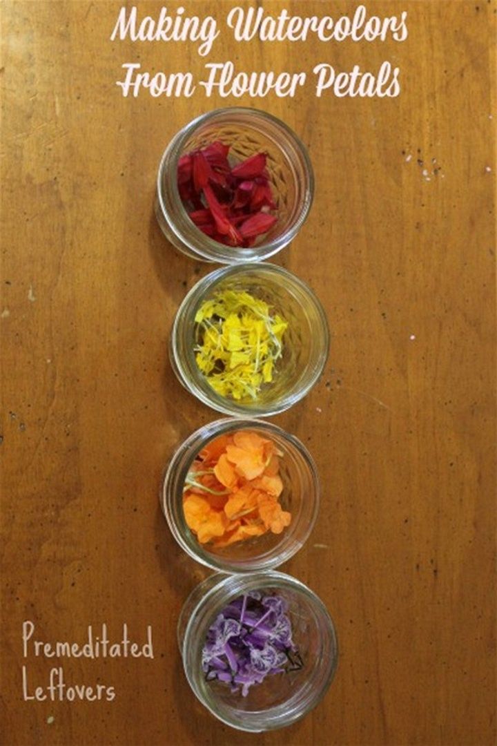 How to Make Watercolor Paints from Flower Petals