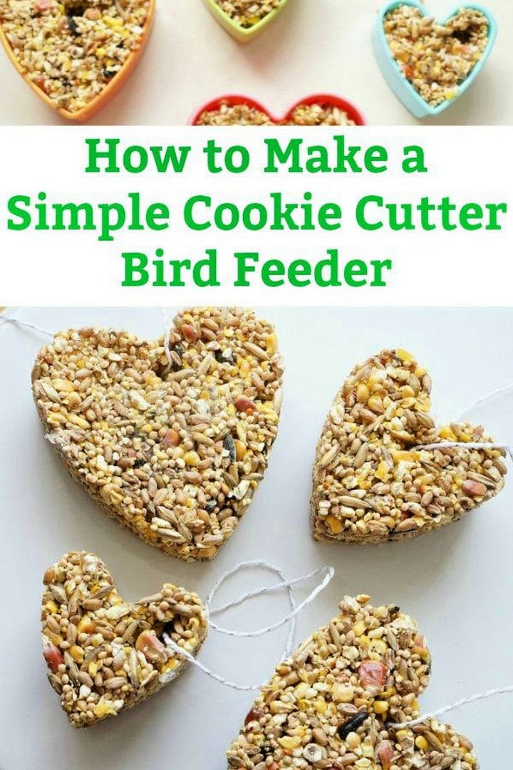 How to Make a Cookie Cutter Bird Feeder