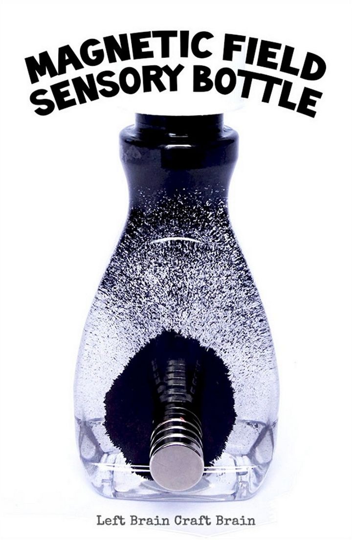 How to Make a Magnetic Field Sensory Bottle