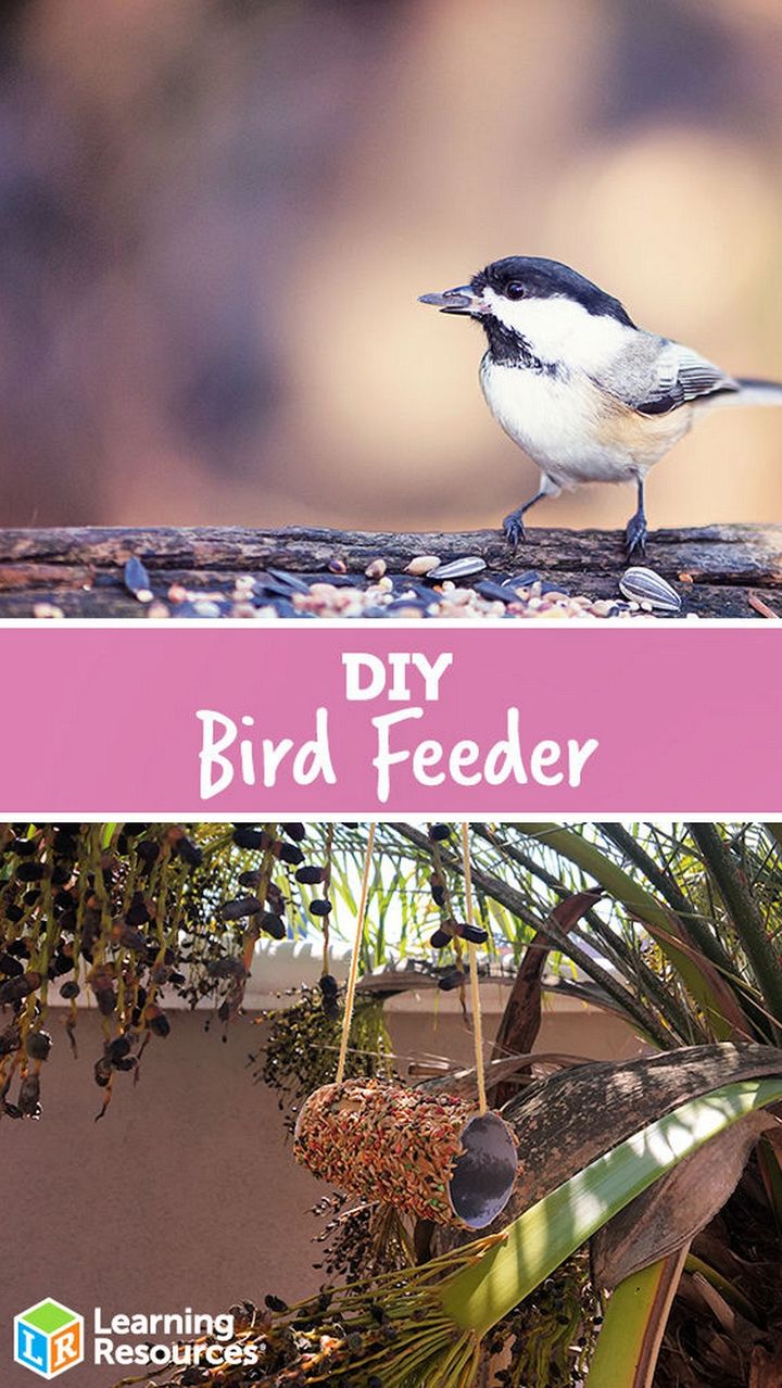 Simple DIY Bird Feeder Tutorial