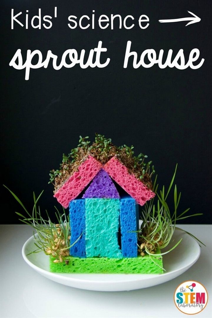 Sprout House