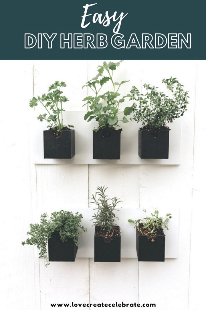 DIY Hanging Herb Garden