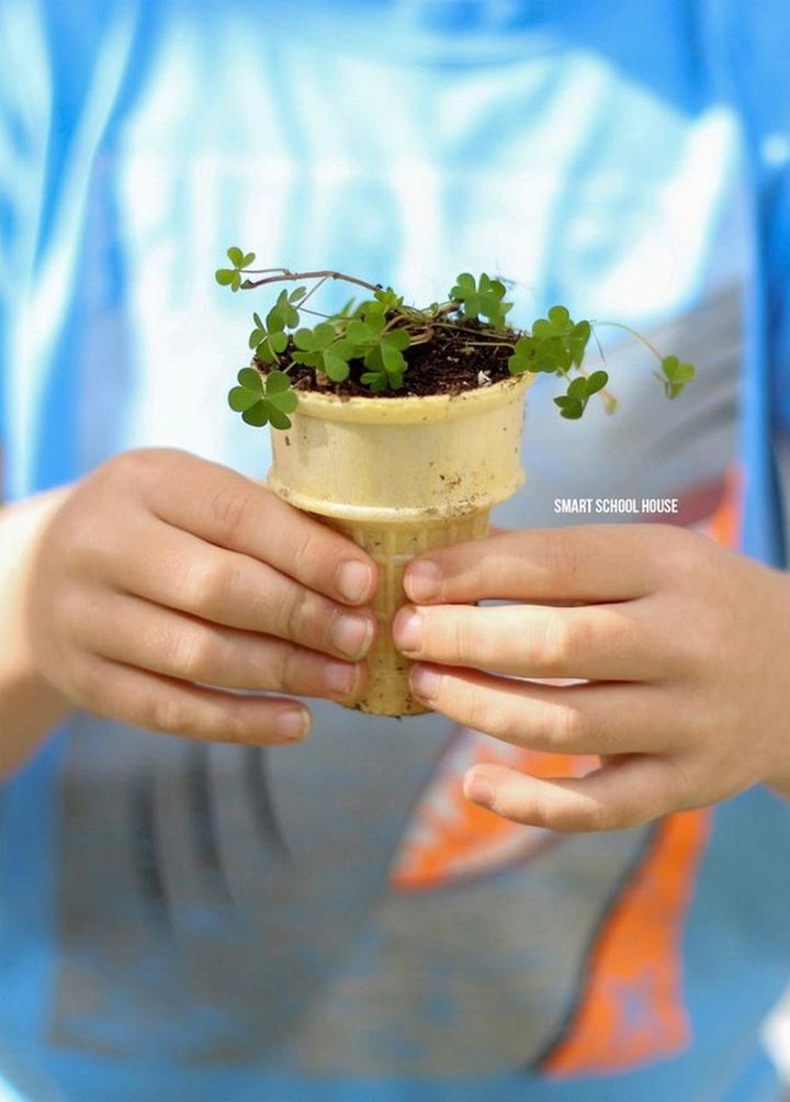 DIY Ice Cream Cone Seedling Garden