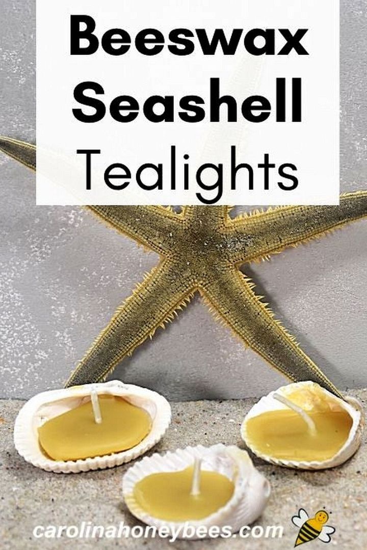 DIY Seashell Beeswax Candles