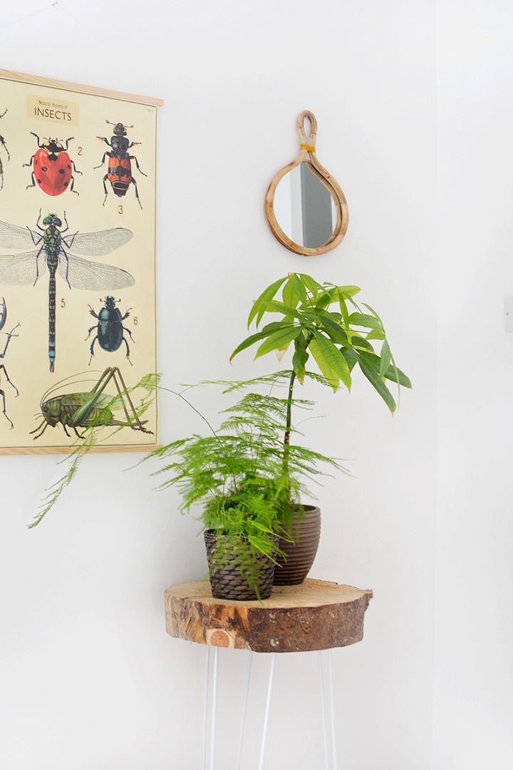 Easy DIY Plant Stand