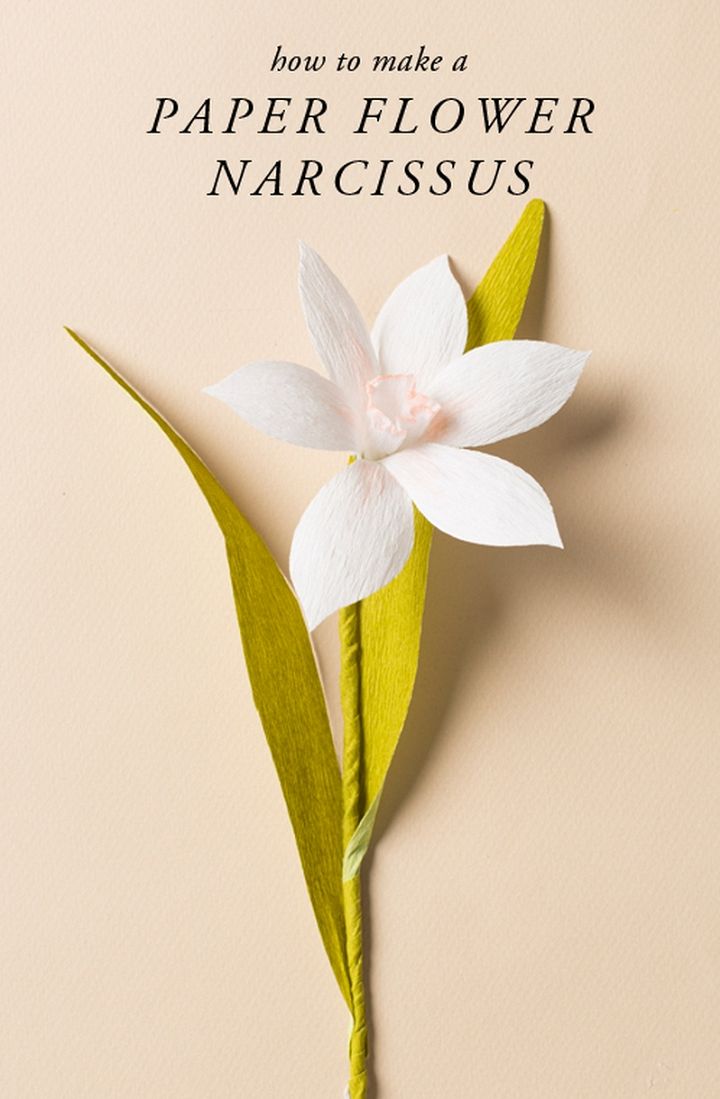 Paper Flower Naricissus