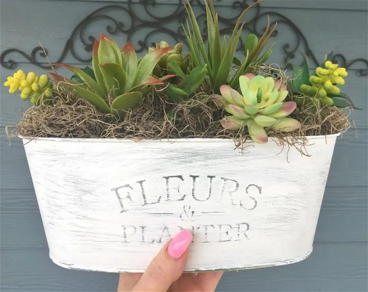 Perfect DIY Succulents