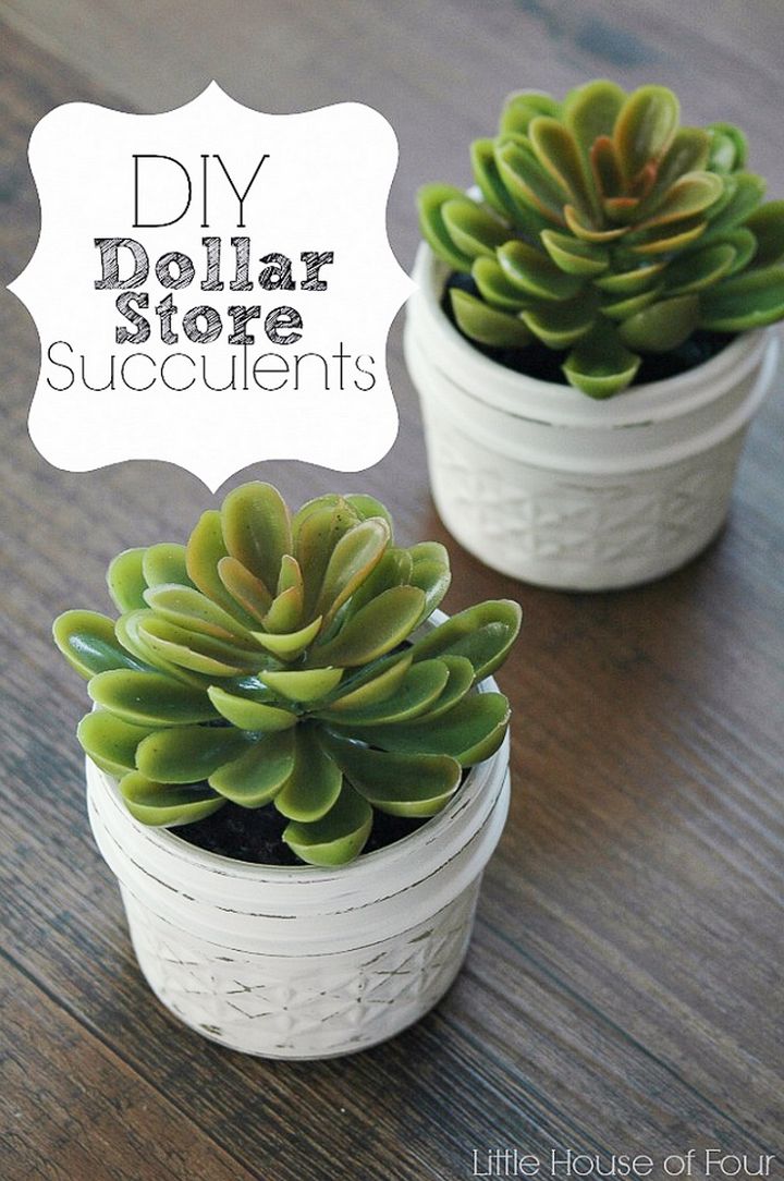 Quick And Easy Dollar Store Succulents
