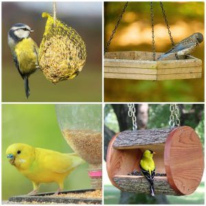 36 DIY Bird Feeder Plans For Make A Good Day