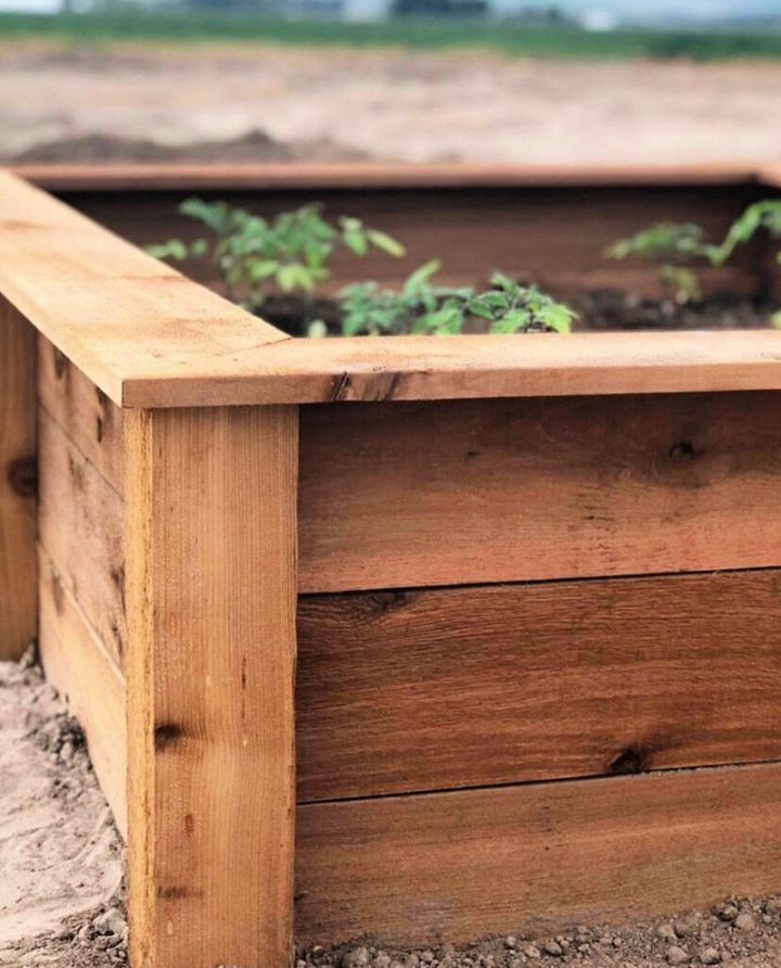 Affordable DIY Garden Beds 1