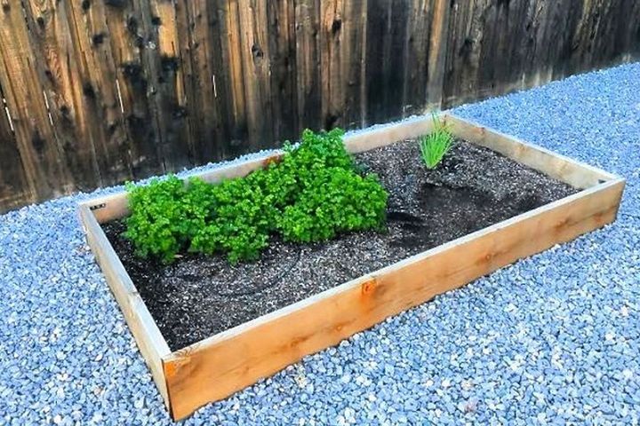 Best DIY Raised Garden Bed