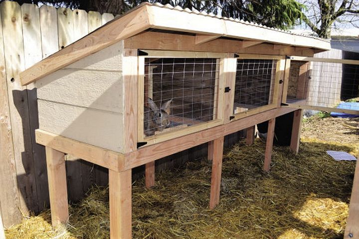 Build A Rabbit Hutch And Tractor