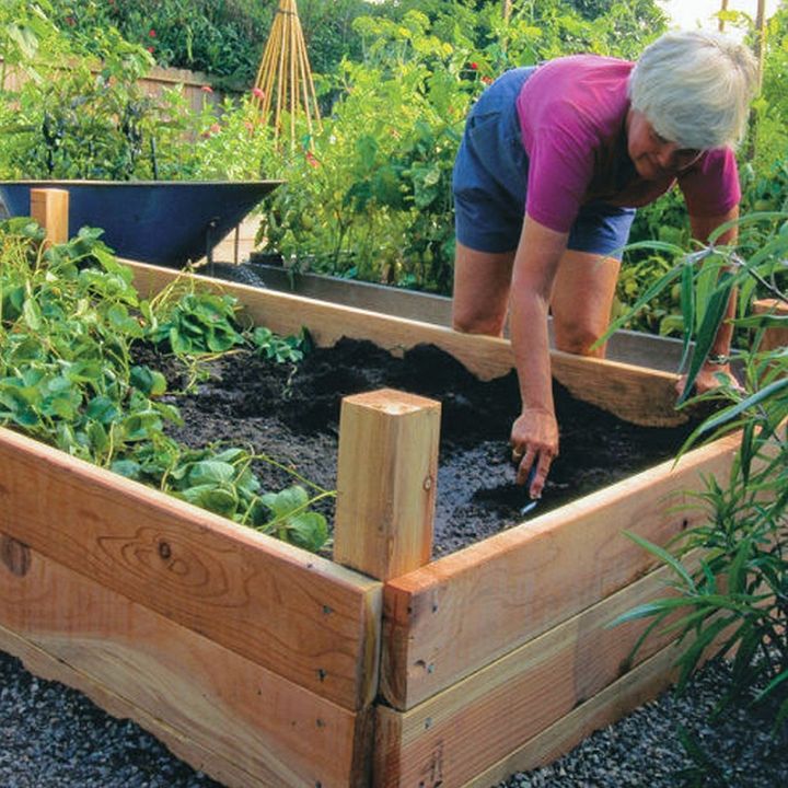 Build Your Own Raised Beds