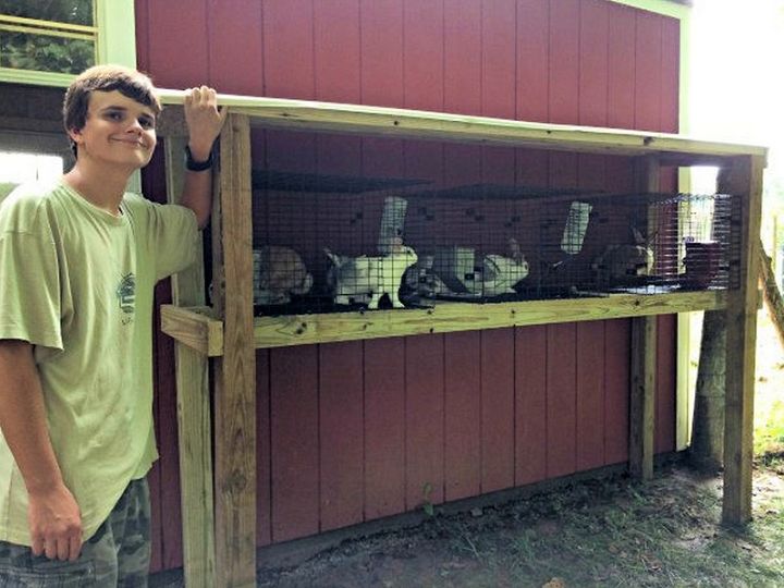 Build a Backyard Rabbit Hutch for Multiple Rabbits
