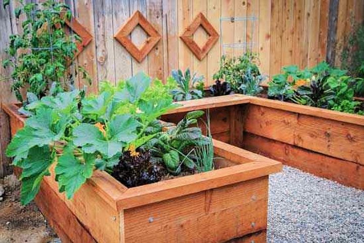 Build a Raised Garden Box