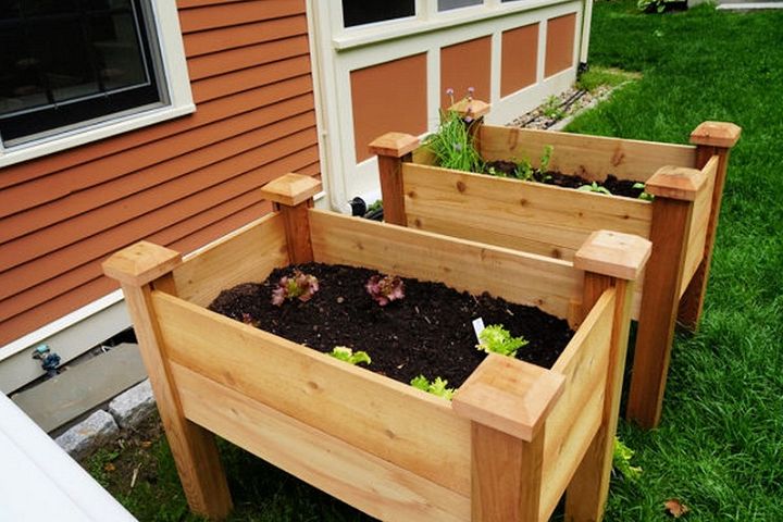 Building a Cedar Raised Garden Bed