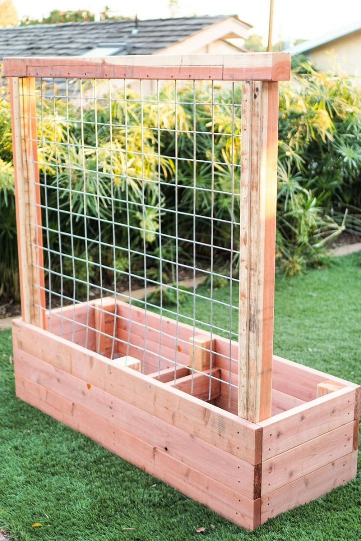 Building a Raised Planter Box with a Trellis