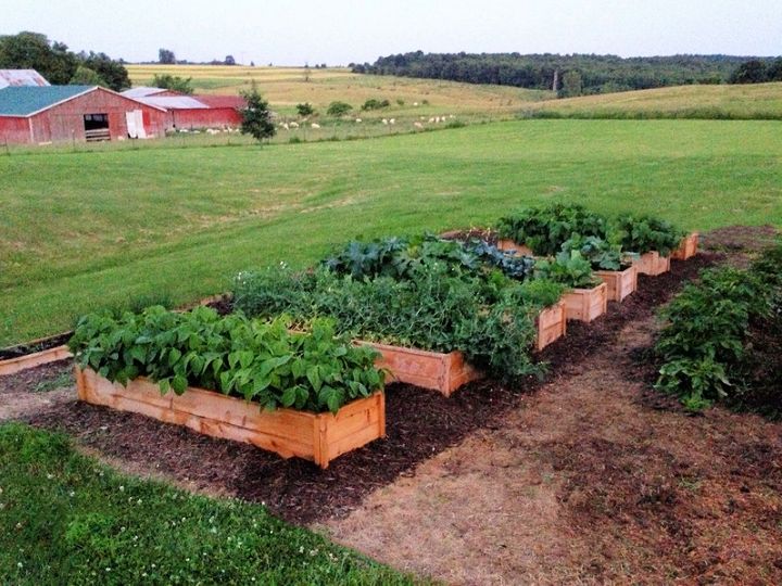 Cedar Raised Garden Beds Made From Fence Pickets Single Width