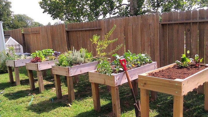 Counter Height Garden Boxes