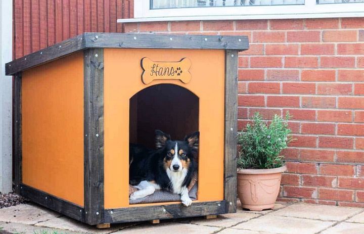 DIY Dog House Build Using Plywood