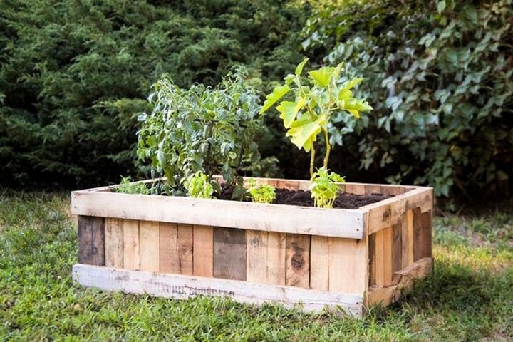 DIY Pallet Raised Garden Bed