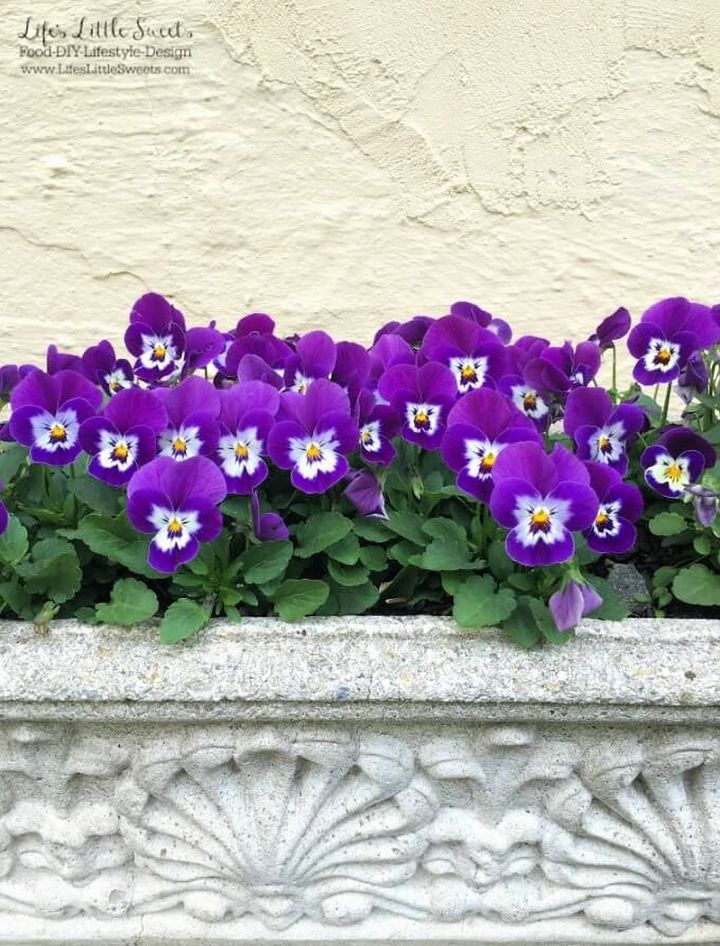DIY Spring to Summer Pansy Planters
