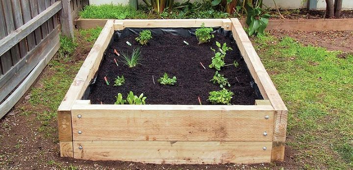 DIY Vegetable Garden box 1