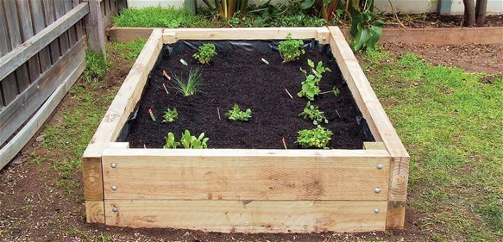 DIY Vegetable Garden box