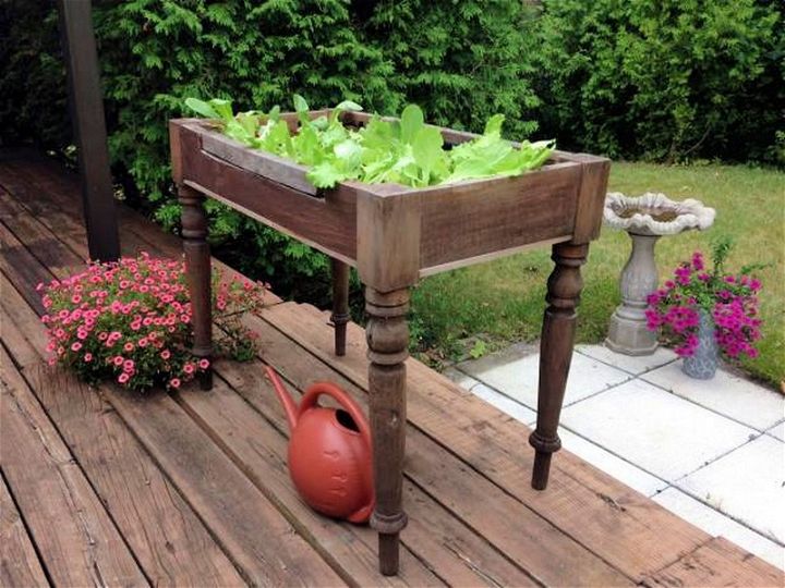 Elevate Your Salad Make a Raised Bed Lettuce Table
