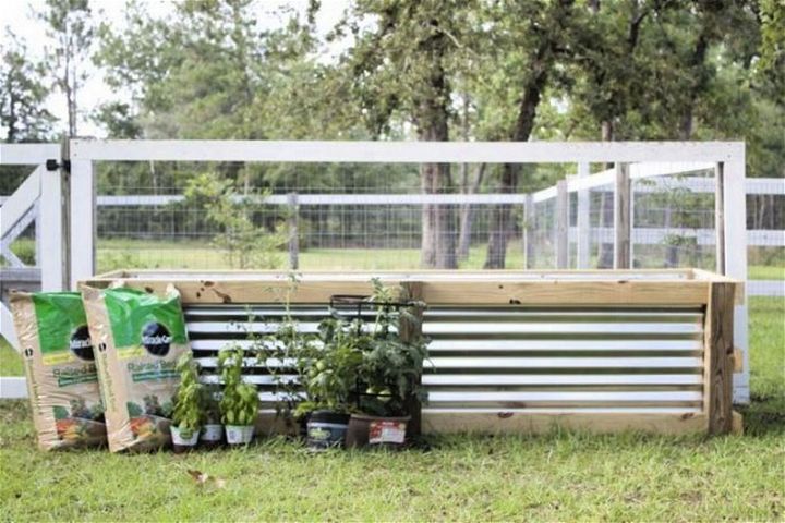 How To Build A Modern DIY Garden Box