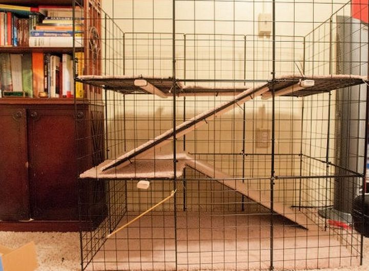 How To Build A Rabbit Cage