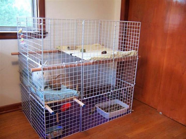 How To Build an Indoor Bunny Cage