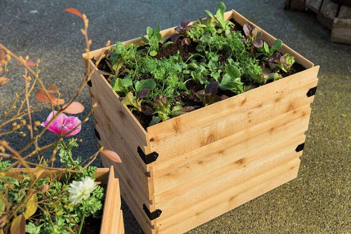 How To Garden In Planter Boxes