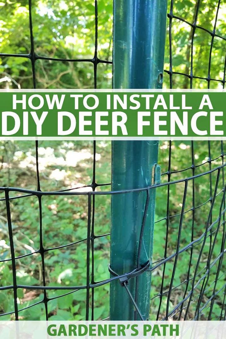 How To Install A Deer Fence To Keep Wildlife Out Of The Garden