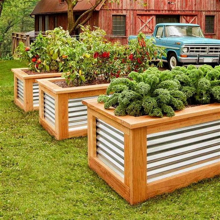 How to Build Raised Garden Beds 1