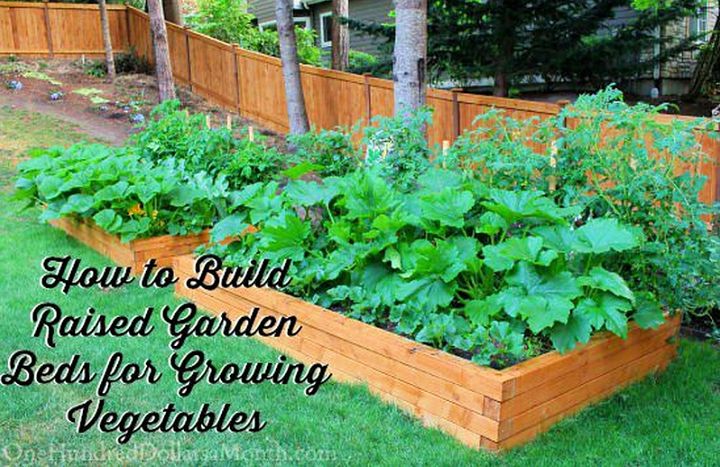 How to Build Raised Garden Beds for Growing Vegetables