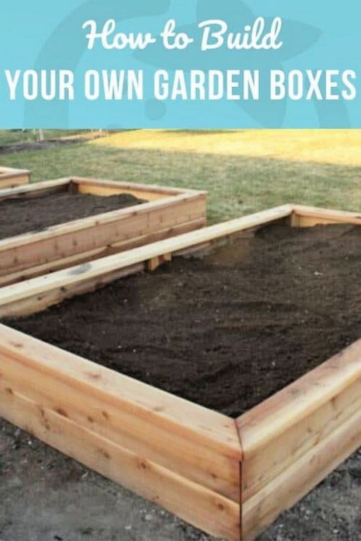 How to Build Your Own Garden Boxes