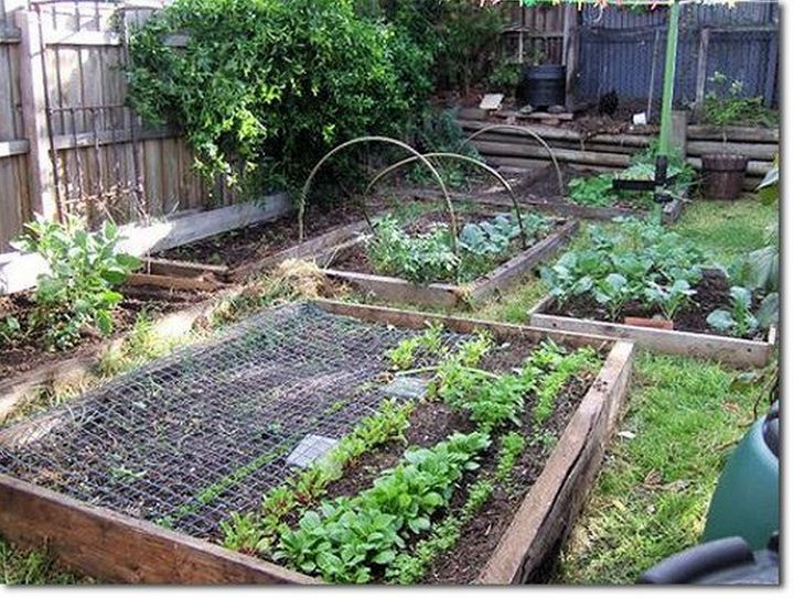 How to Build a Cheap Raised Garden Bed