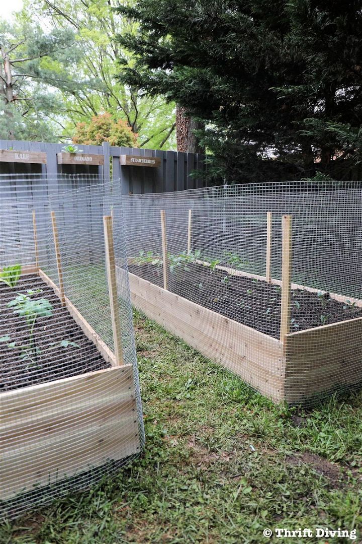 How to Build a DIY Raised Garden Bed and Protect it With a Metal Fence 1