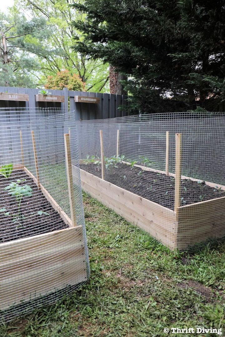 How to Build a DIY Raised Garden Bed and Protect it With a Metal Fence