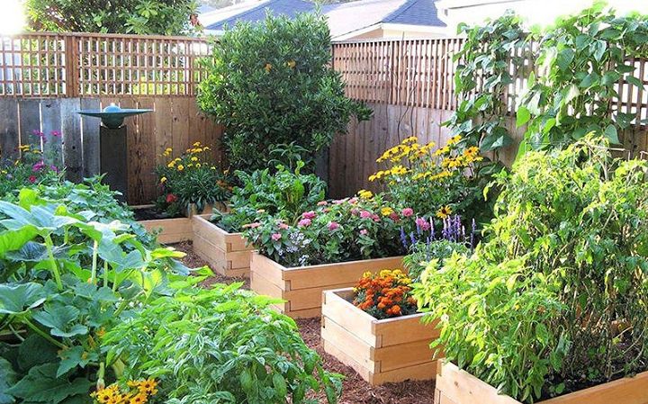 How to Build a Raised Garden Bed