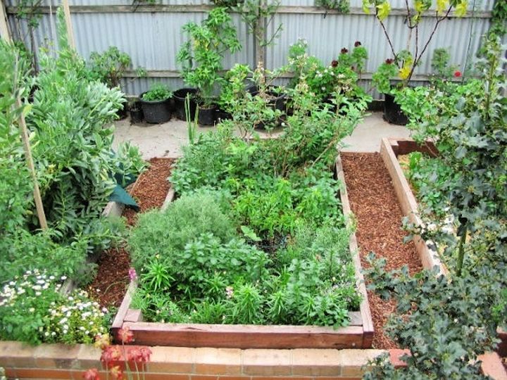 How to Construct In Ground and Raised Garden Beds