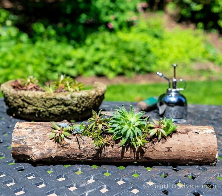 How to Make a Succulent Log Planter